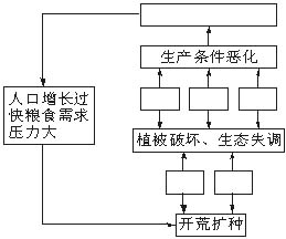 土壤肥力