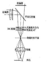 微分干涉法基本原理