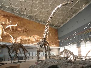 朝陽濟贊堂古生物化石博物館