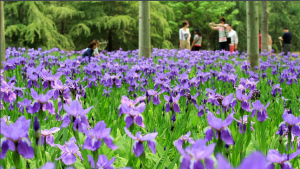 濟南植物園