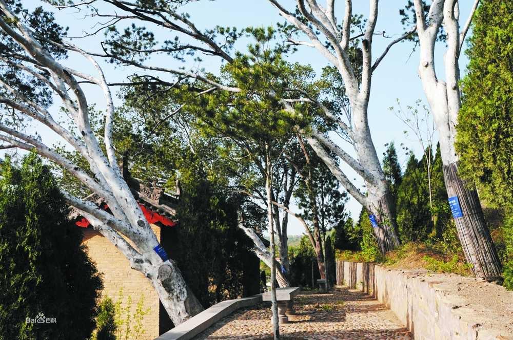 峰爐院、天官府等