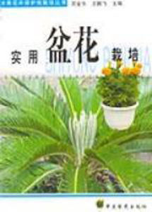 《實用盆花栽培：水果花卉保護地栽培叢書》