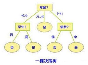 經濟決策的機率模型