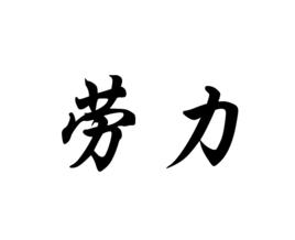 勞力[漢語名詞]