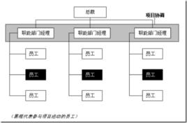 軟體項目經理