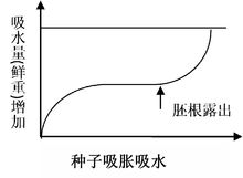 種子的吸脹吸水