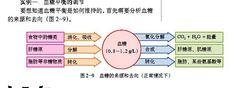 血糖平衡調節