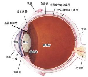 急性全自主神經失調症