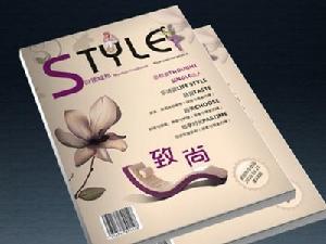 DM雜誌