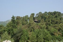 尼山書院