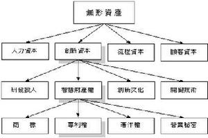 無形資產營運