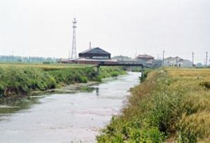 開莊遺址