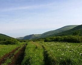 柳樹溝