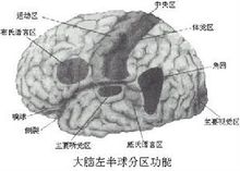 症狀性癲癇