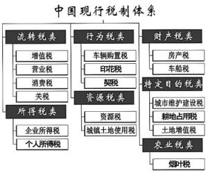 稅制體系