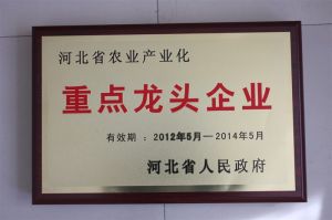 2012-2014重點龍頭企業