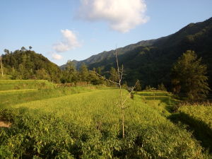 雞河壩村