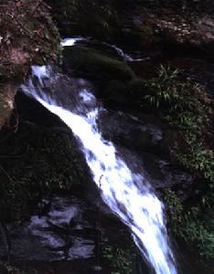 大板水國家森林公園