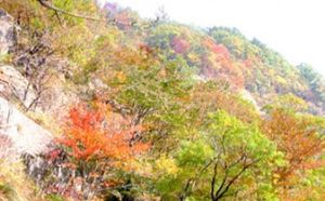 吳家山國家森林公園