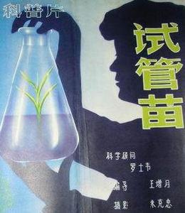 試管苗[1980年王增月執導科教片]