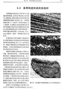 《地球化學和成礦體系自組織》插圖