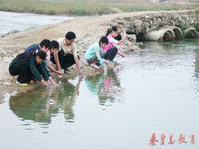 《關注家鄉水資源》綜合實踐活動