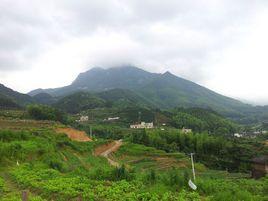 聰坑村[尋烏縣項山鄉下轄村]