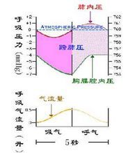 腹部呼吸