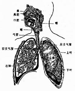 先天性腹膜疝