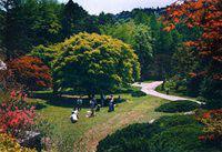 江西省中國科學院廬山植物園