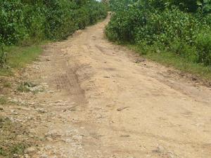 大山後自然村通村道路