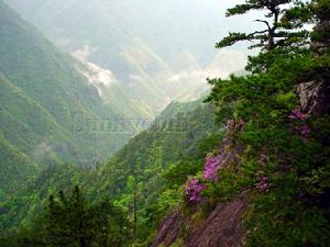 鳳陽山自然保護區