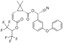 分子式