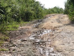 進村道路未硬化