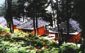 龍架山國家森林公園