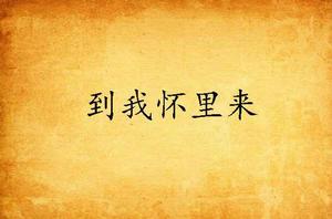 到我懷裡來[到我懷裡來（小說）]