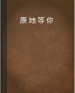 原地等你[徐正榜著小說]