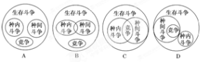 種內關係