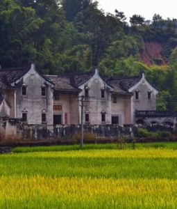 茶山自然村