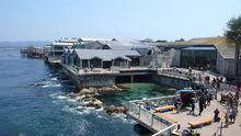 蒙特雷水族館