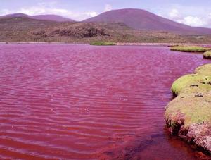 Red Lagoon