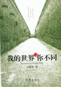 《我的世界與你不同》圖書封面