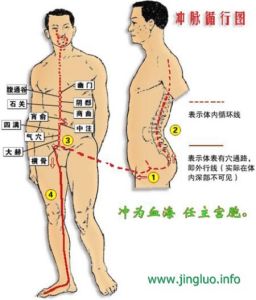 沖脈循行路線