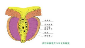 設計原理4