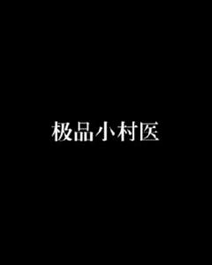 極品小村醫[都市小說]