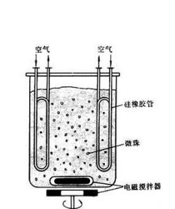 動物細胞培養反應器