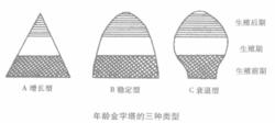 年齡結構的三種類型