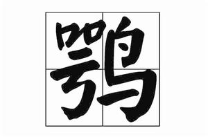 鶚[詞語釋義]