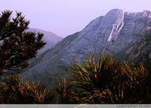 臨沂蒙山