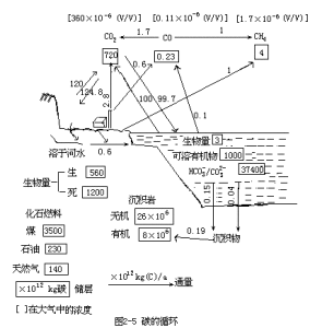 水的總無機碳